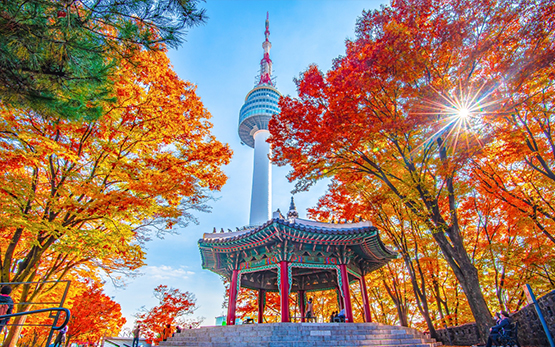 South Korea home.jpg